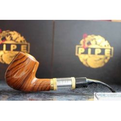 E-Pipa